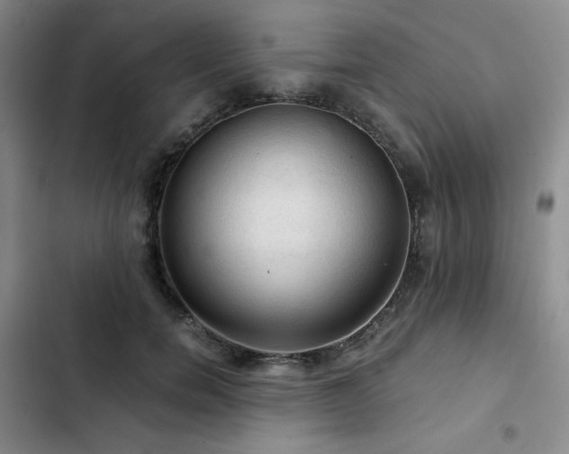 X0000103160750200808221354