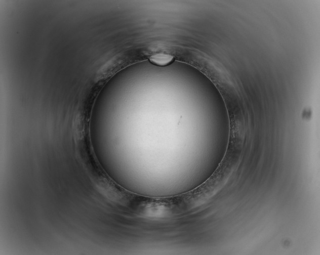 X0000103160751200808221354