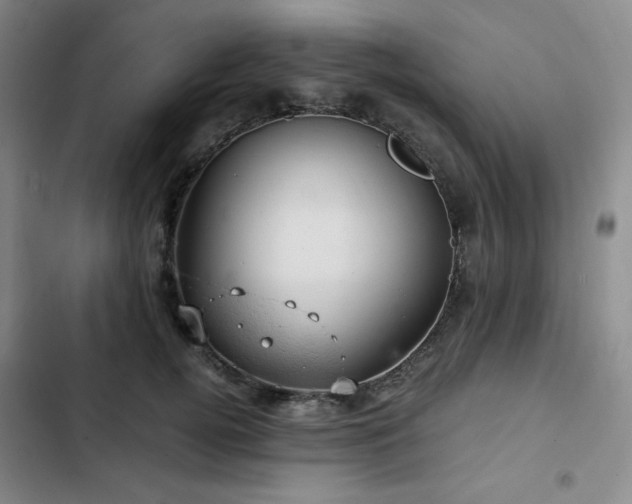 X0000103160752200808221354