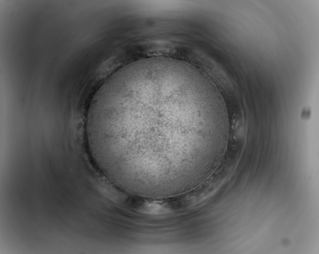 X0000103160753200808221354