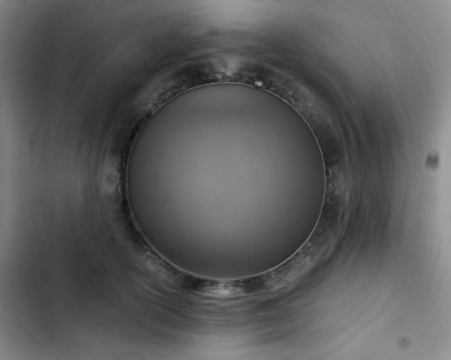 X0000103160754200808221354