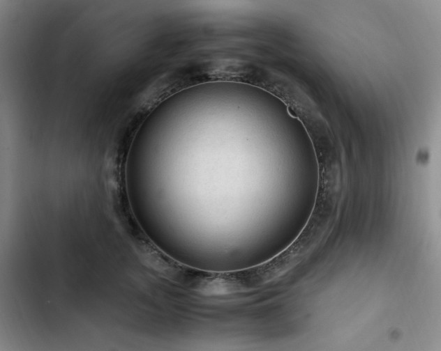 X0000103160755200808221354