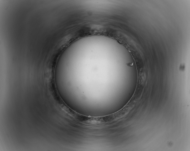 X0000103160756200808221354