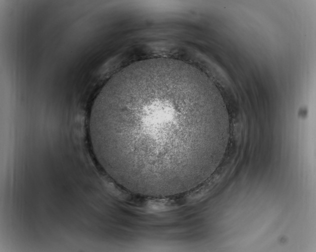 X0000103160757200808221354