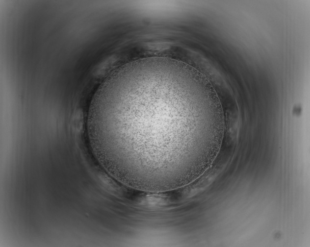 X0000103160758200808221354