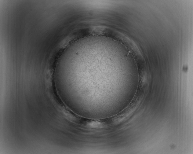 X0000103160759200808221354