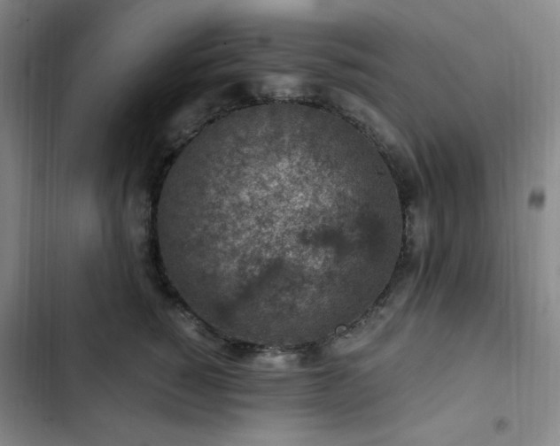 X0000103160760200808221354