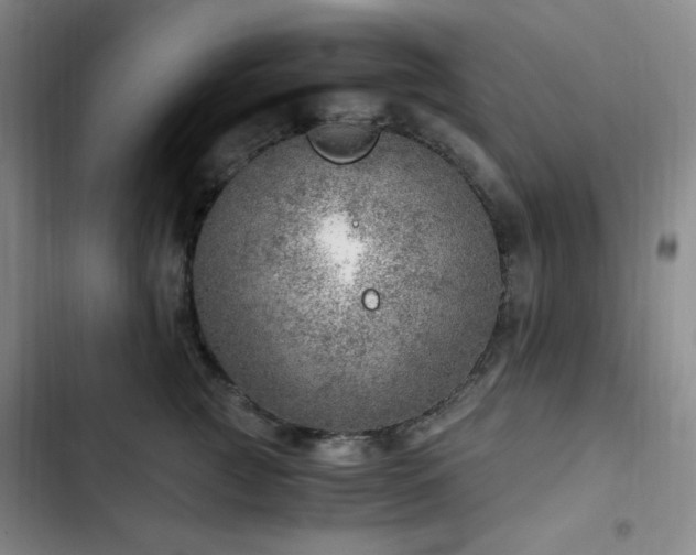 X0000103160761200808221354