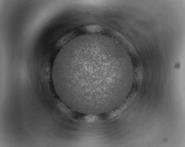 X0000103160762200808221354
