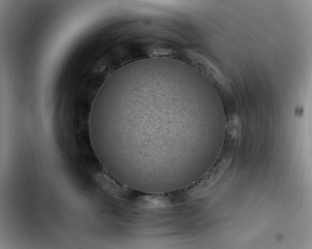 X0000103160763200808221354