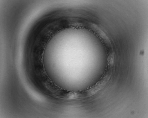 X0000103160764200808221354