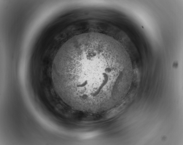 X0000103160765200808221354