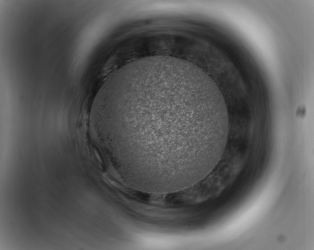X0000103160766200808221354