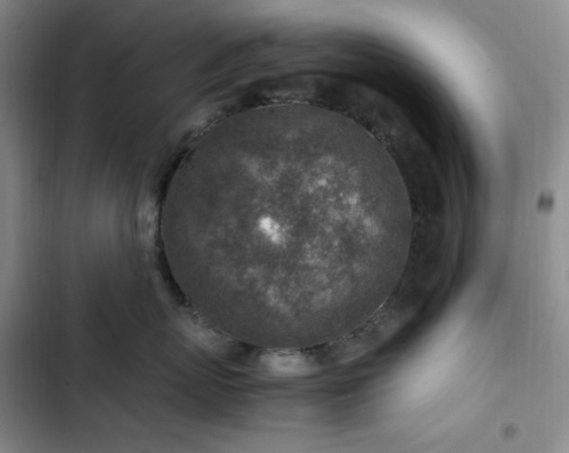 X0000103160767200808221354