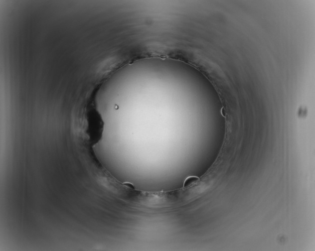 X0000103160768200808221354