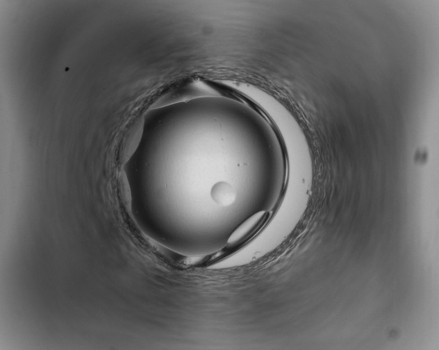 X0000103160769200808221353