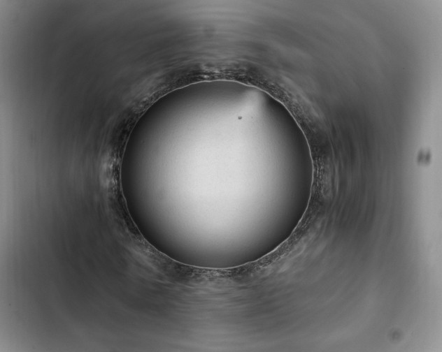 X0000103160770200808221353