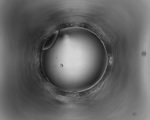 X0000103160771200808221353