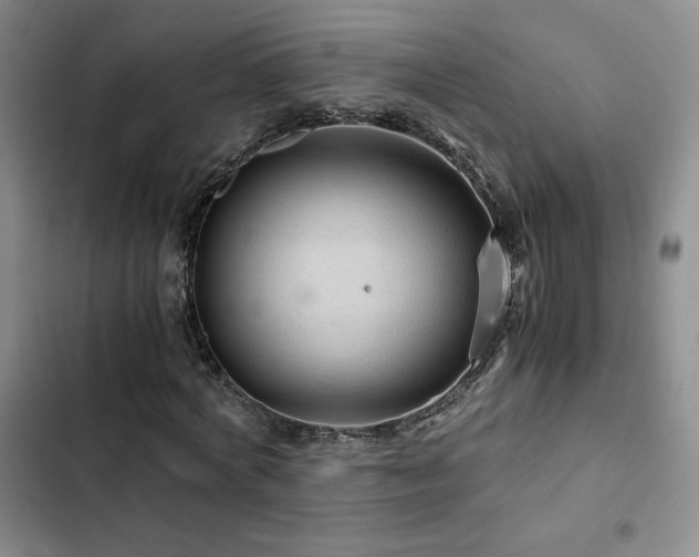 X0000103160772200808221353