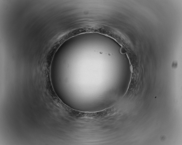 X0000103160773200808221353