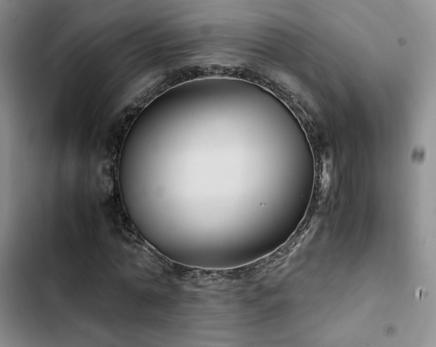 X0000103160774200808221353