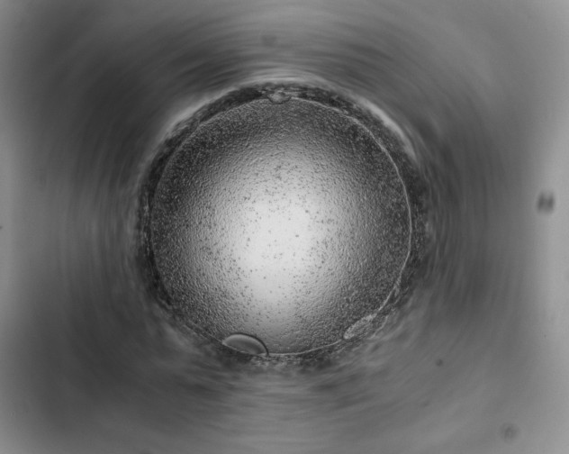 X0000103160775200808221353