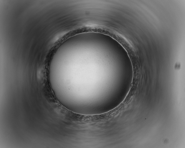 X0000103160776200808221353