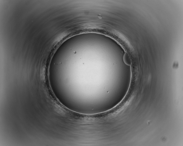 X0000103160777200808221353