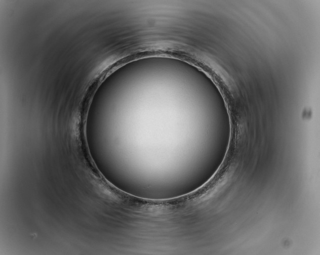 X0000103160778200808221353