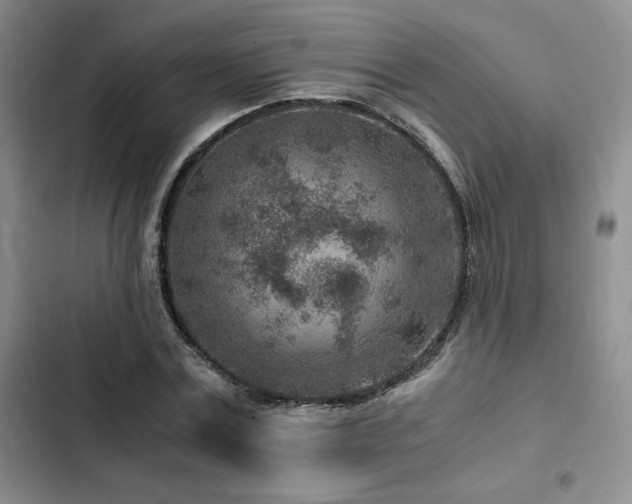 X0000103160779200808221353