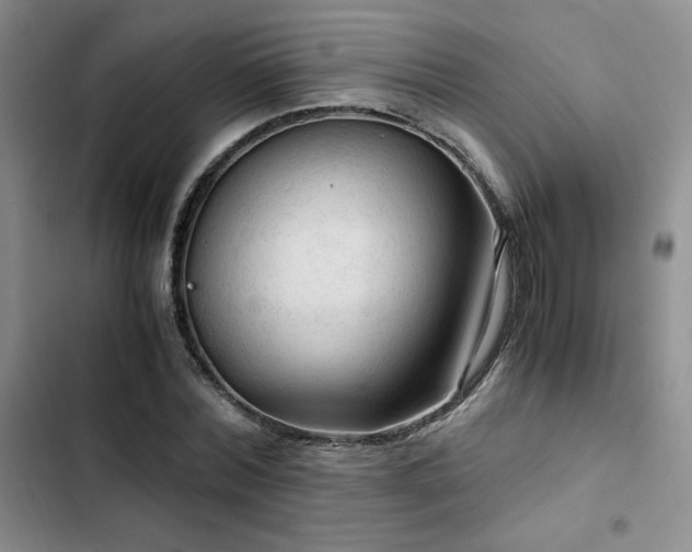X0000103160780200808221353