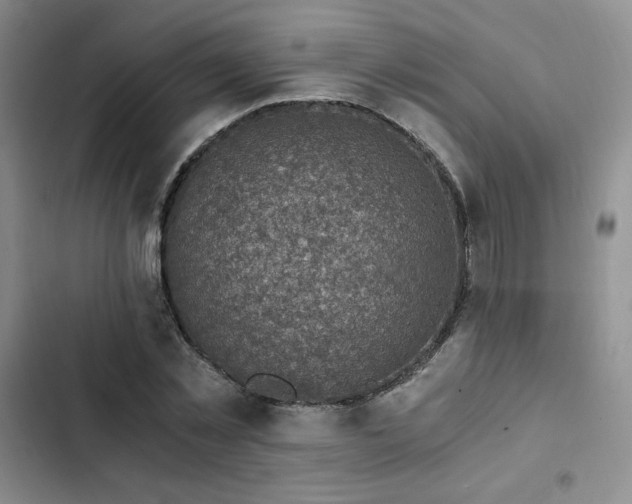 X0000103160781200808221353