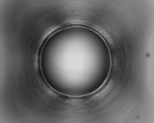 X0000103160782200808221353
