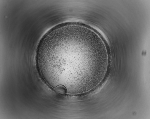 X0000103160783200808221353