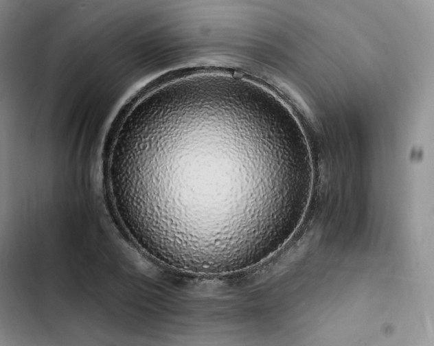 X0000103160784200808221353