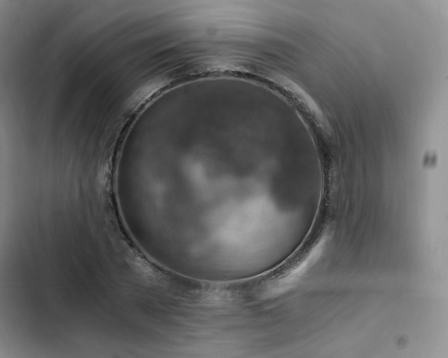 X0000103160785200808221353