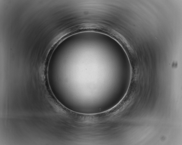 X0000103160786200808221353