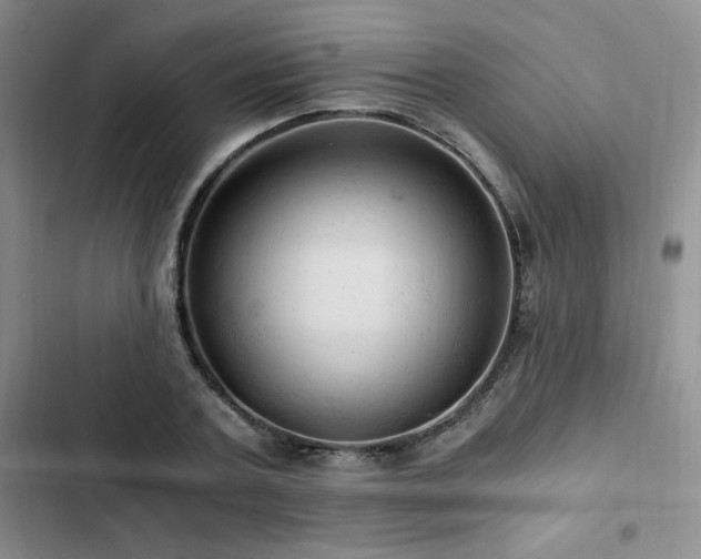X0000103160787200808221353