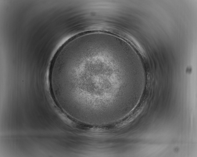 X0000103160788200808221353