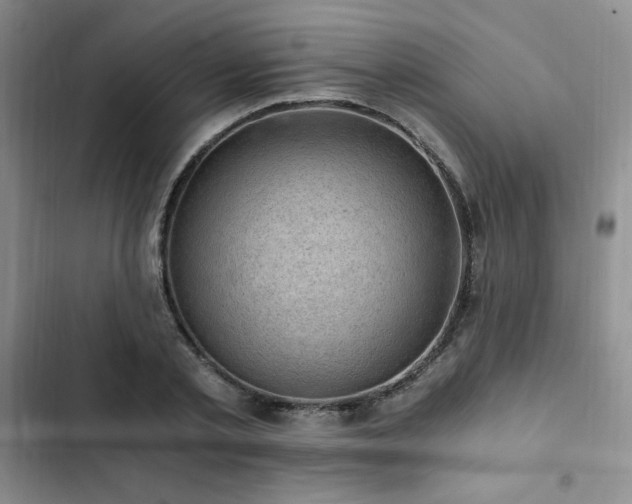 X0000103160789200808221353