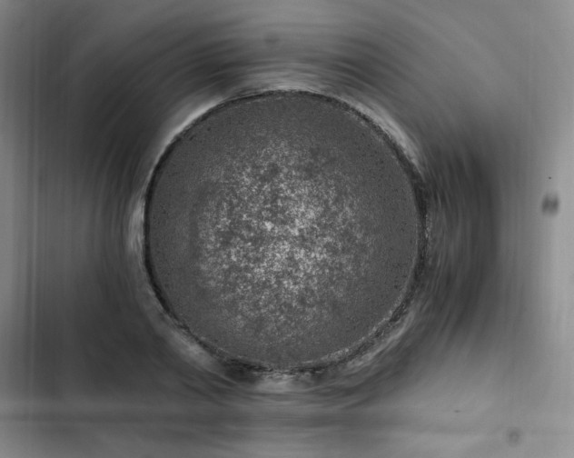 X0000103160790200808221353