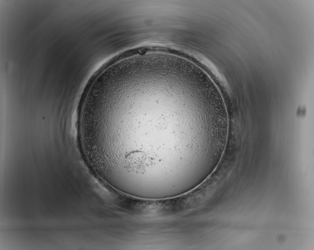 X0000103160791200808221353