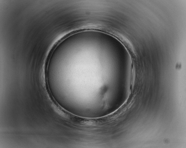 X0000103160792200808221353