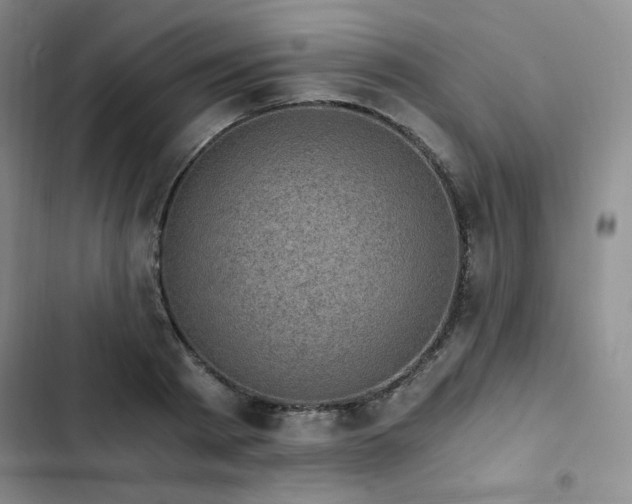 X0000103160793200808221353