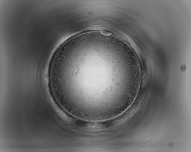 X0000103160795200808221353