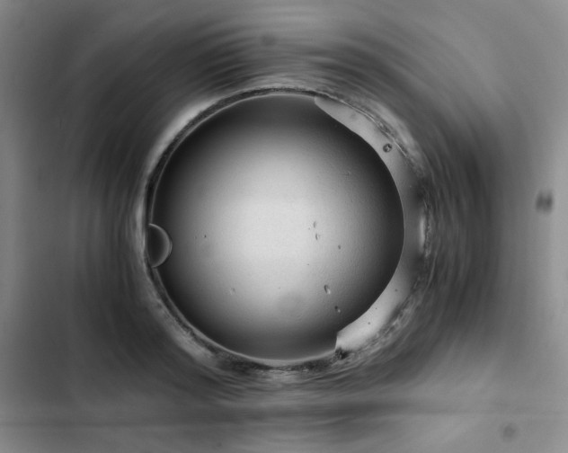 X0000103160796200808221353