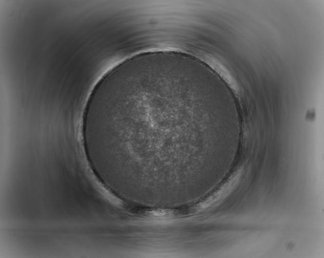 X0000103160797200808221353