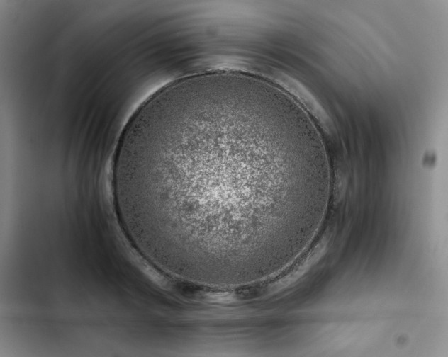 X0000103160798200808221353
