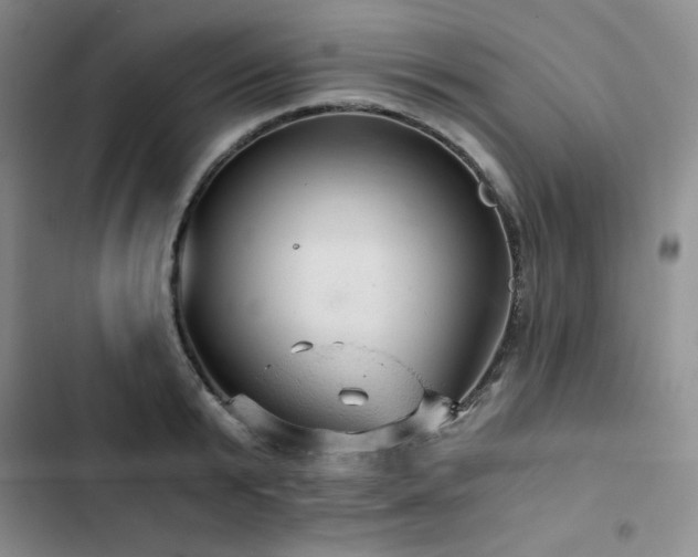X0000103160799200808221353