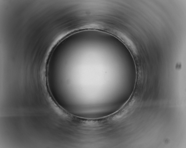 X0000103160800200808221353